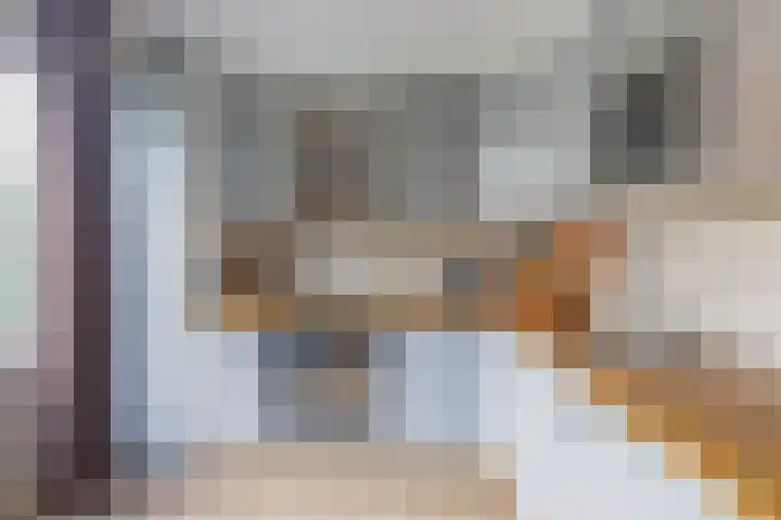 Sagittastraat 6 Spijkenisse thumbnail 4
