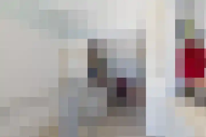 Sagittastraat 6 Spijkenisse thumbnail 41