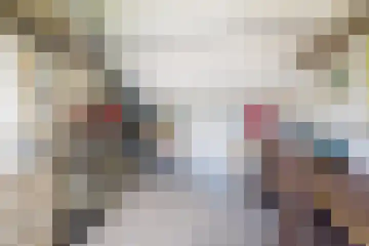 Sagittastraat 6 Spijkenisse thumbnail 43