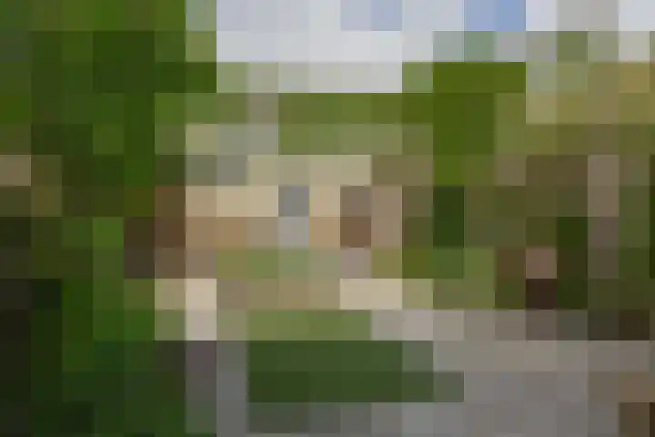 Sagittastraat 6 Spijkenisse thumbnail 5