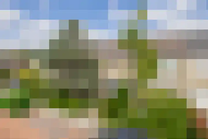Sagittastraat 6 Spijkenisse thumbnail 55