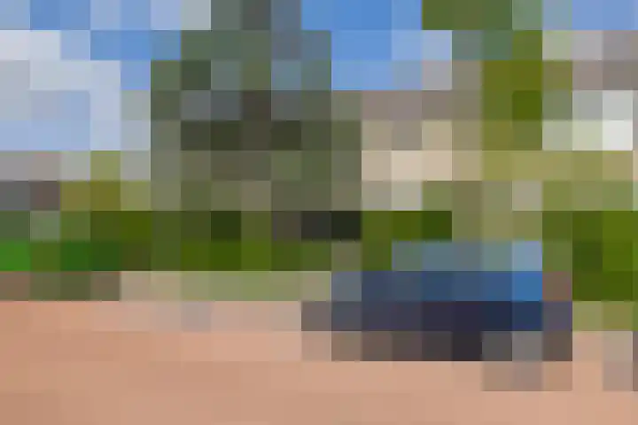 Sagittastraat 6 Spijkenisse thumbnail 7