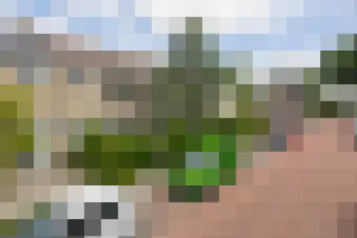 Sagittastraat 6 Spijkenisse thumbnail 8