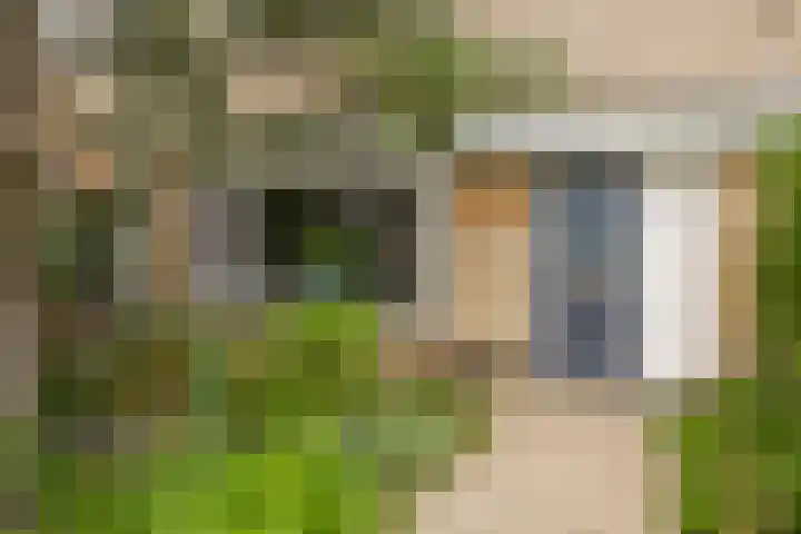 Sagittastraat 6 Spijkenisse thumbnail 9