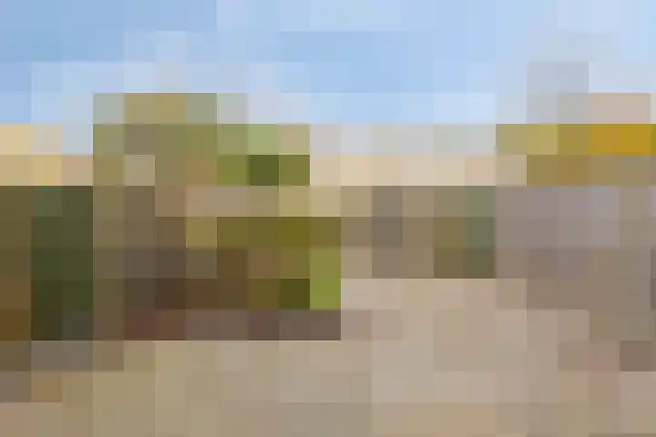 Sagittastraat 8 Spijkenisse thumbnail 10