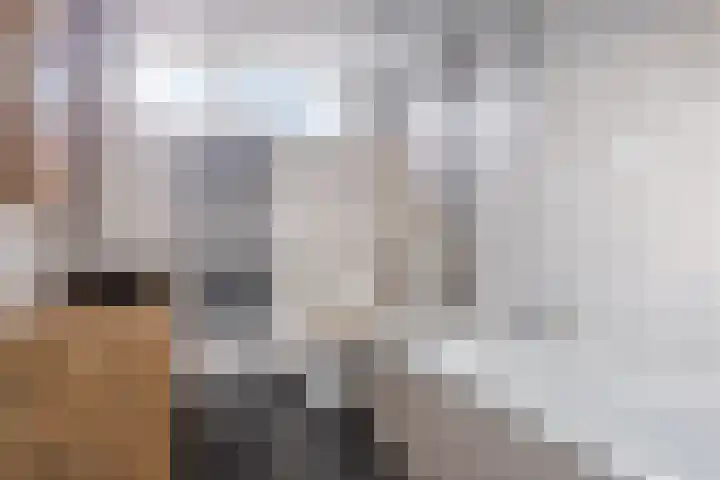 Sagittastraat 8 Spijkenisse thumbnail 17