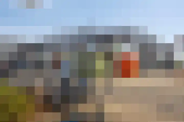 Sagittastraat 8 Spijkenisse thumbnail 26