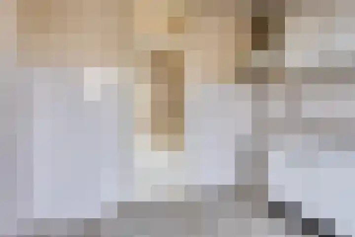 Sagittastraat 8 Spijkenisse thumbnail 9