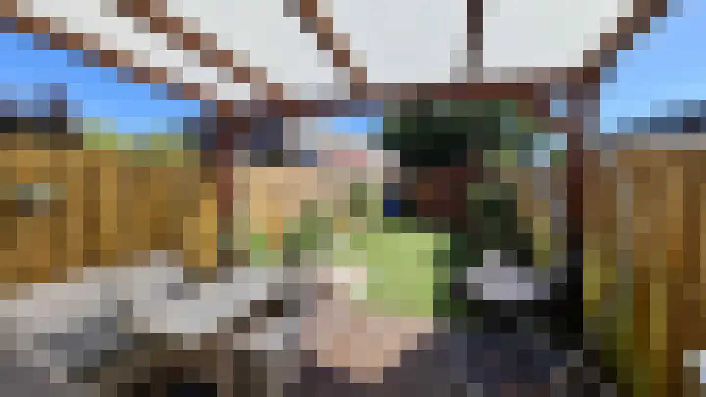 Sagiusstraat 30 Pernis Rotterdam thumbnail 7