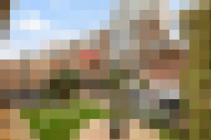Sagiusstraat 72 Pernis Rotterdam thumbnail 24
