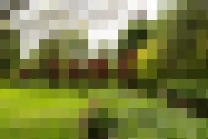 Saharadreef 8 Utrecht thumbnail 28