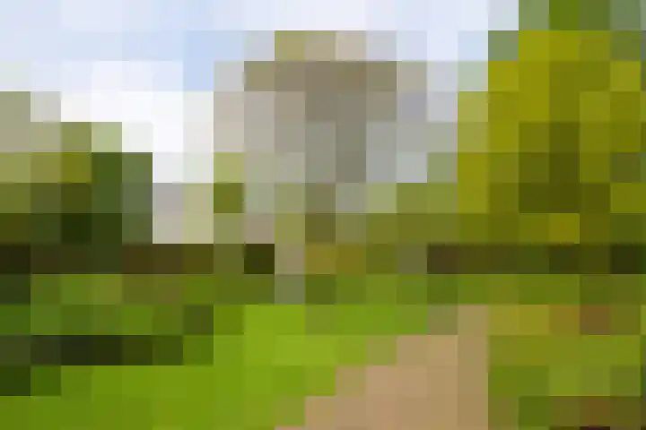Saharadreef 8 Utrecht thumbnail 29
