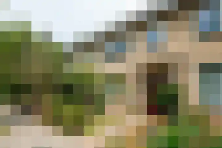 Saharadreef 8 Utrecht thumbnail 36