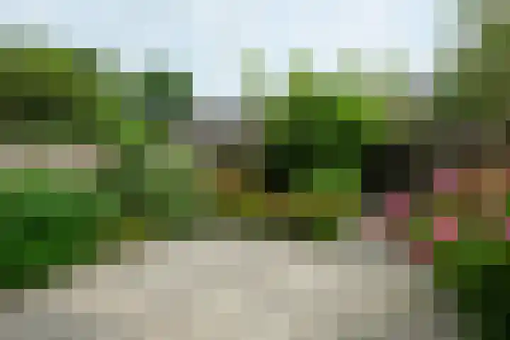 Saharadreef 8 Utrecht thumbnail 9