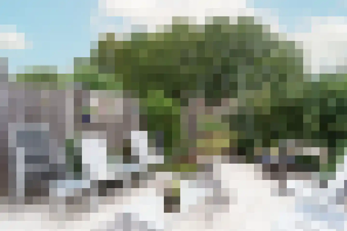 Saharapad 34 Delft thumbnail 10