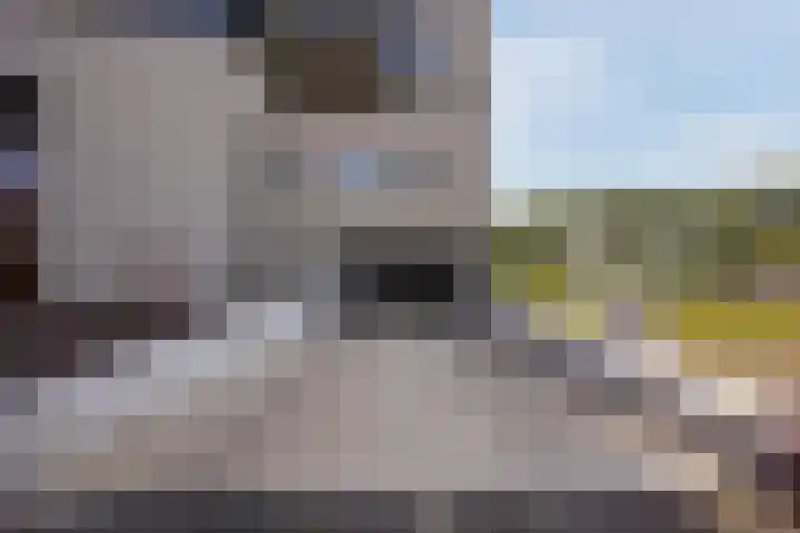 Saillant 73 Bergen op Zoom thumbnail 6