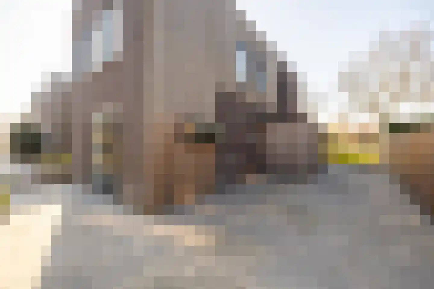 Saint Helenabaai 60 Purmerend thumbnail 7