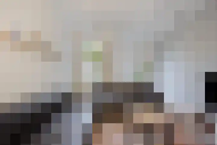 Saint Polhof 12 Ravenstein thumbnail 11