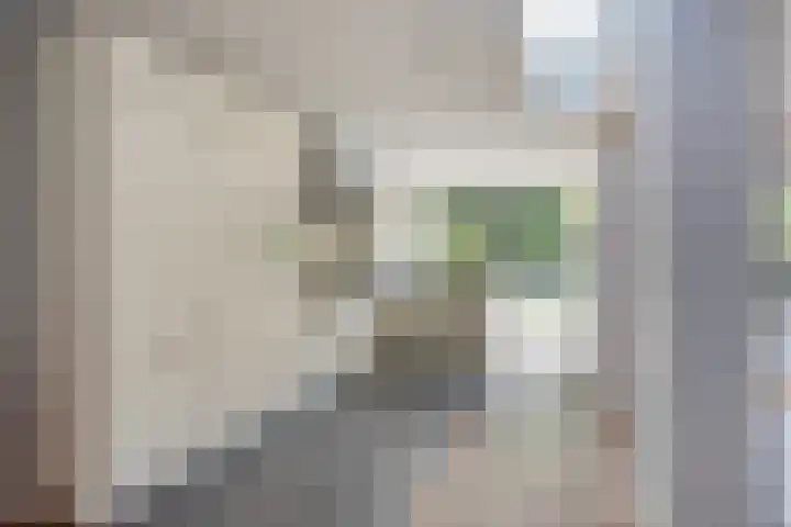 Saint Polhof 12 Ravenstein thumbnail 12