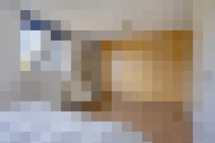 Saint Polhof 12 Ravenstein thumbnail 20
