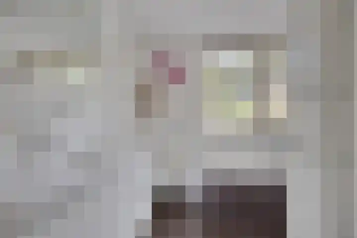 Saint Polhof 12 Ravenstein thumbnail 25