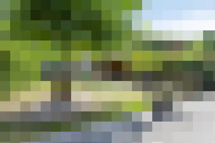 Saint Polhof 12 Ravenstein thumbnail 33
