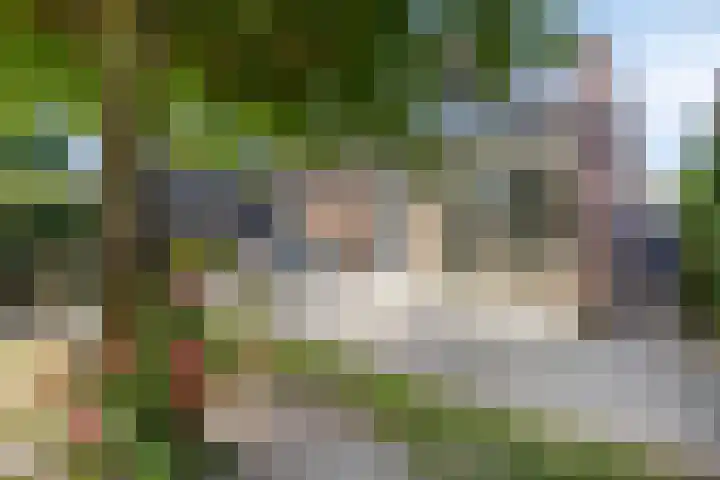 Saint Polhof 12 Ravenstein thumbnail 34