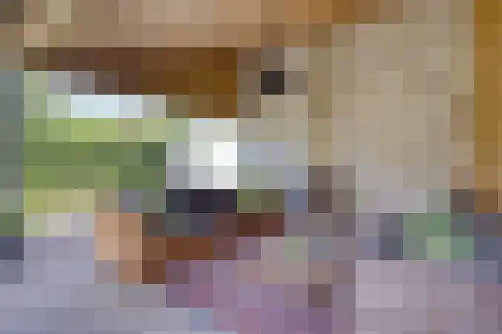 Saint Polhof 12 Ravenstein thumbnail 43