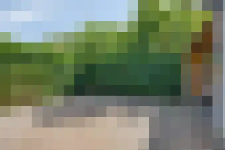 Saint Polhof 12 Ravenstein thumbnail 48