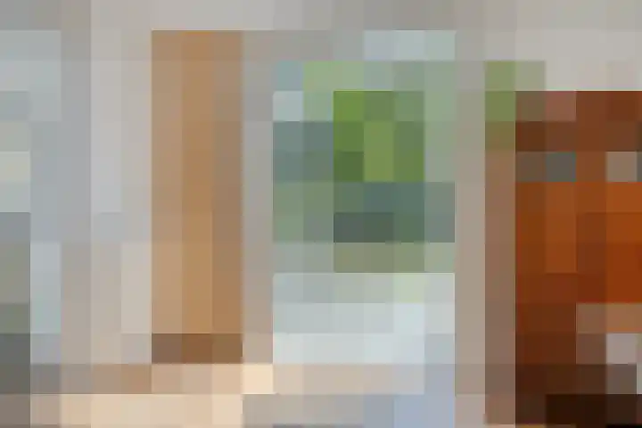 Saint Polhof 12 Ravenstein thumbnail 9