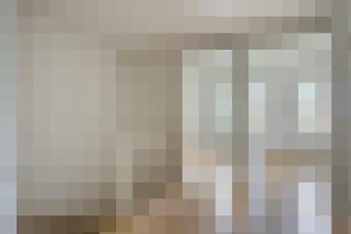Saint Polhof 26 Ravenstein thumbnail 11