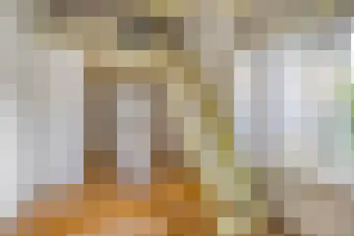 Saint Polhof 26 Ravenstein thumbnail 17