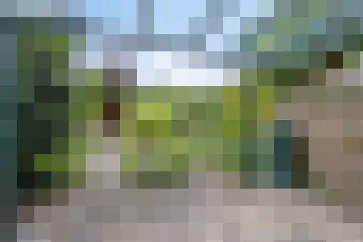 Saint Polhof 26 Ravenstein thumbnail 21
