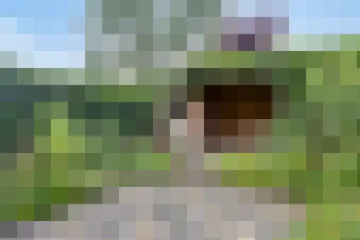 Saint Polhof 26 Ravenstein thumbnail 22