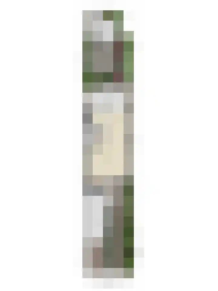 Saint Polhof 26 Ravenstein thumbnail 28