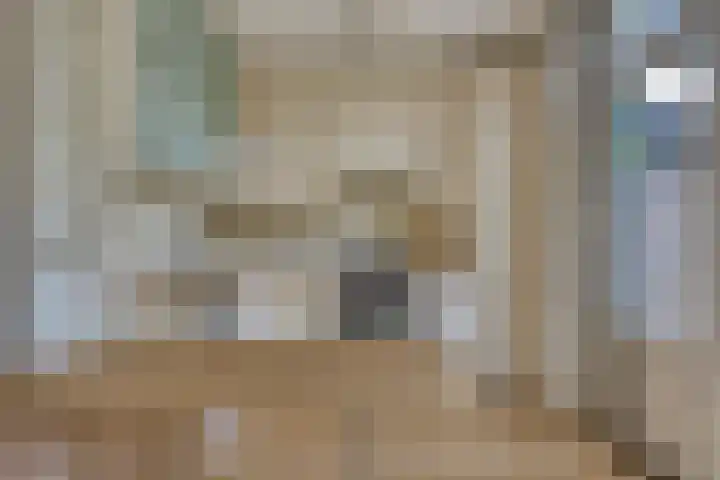 Saint Polhof 26 Ravenstein thumbnail 7