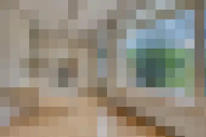 Saint Polhof 26 Ravenstein thumbnail 8