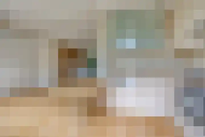 Saint Polhof 26 Ravenstein thumbnail 9