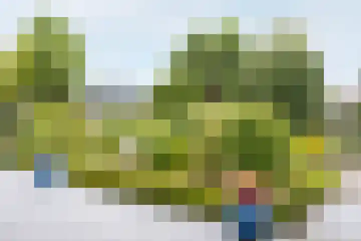 Saint Rémylaan 44 Wognum thumbnail 66