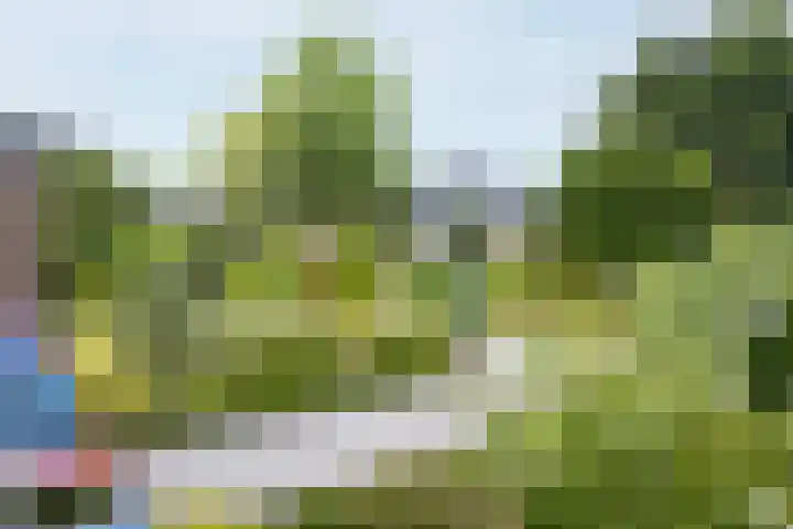 Saint Rémylaan 44 Wognum thumbnail 67