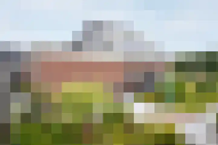 Saint Rémylaan 44 Wognum thumbnail 70