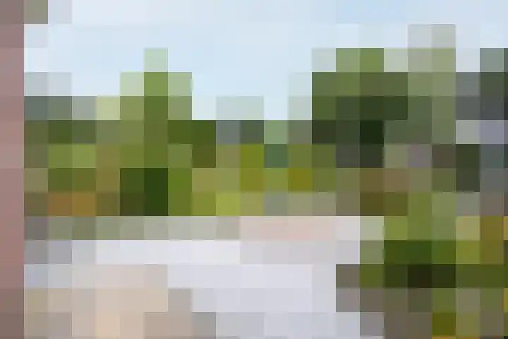 Saint Rémylaan 44 Wognum thumbnail 76
