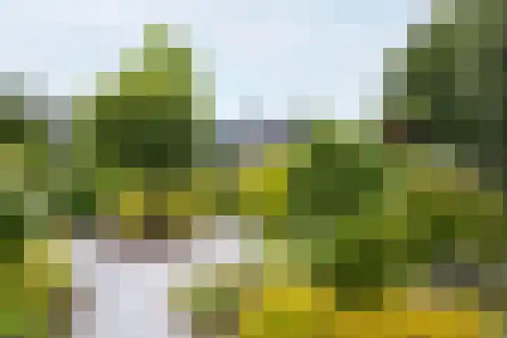 Saint Rémylaan 44 Wognum thumbnail 77