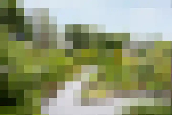 Saint Rémylaan 44 Wognum thumbnail 78