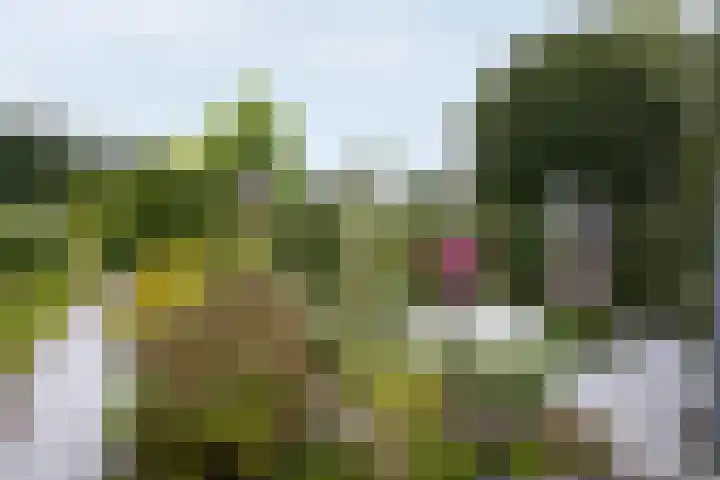 Saint Rémylaan 44 Wognum thumbnail 79