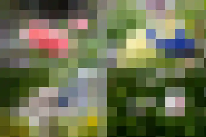 Saint Rémylaan 44 Wognum thumbnail 82