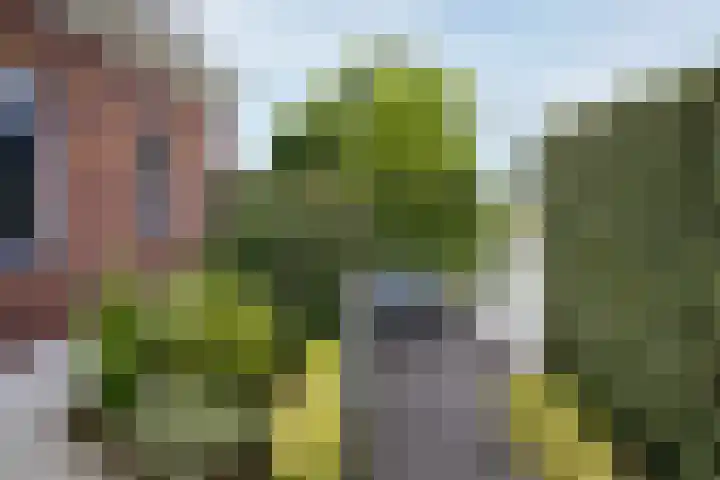 Saint Rémylaan 44 Wognum thumbnail 84