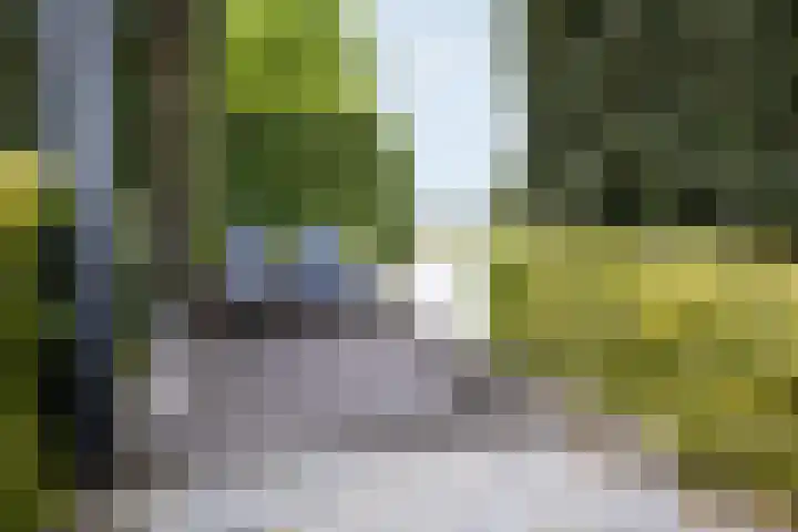 Saint Rémylaan 44 Wognum thumbnail 85