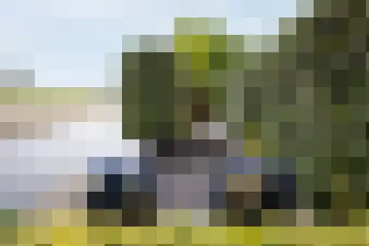 Saint Rémylaan 44 Wognum thumbnail 86