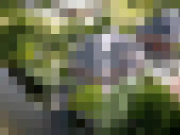 Saint Rémylaan 44 Wognum thumbnail 87